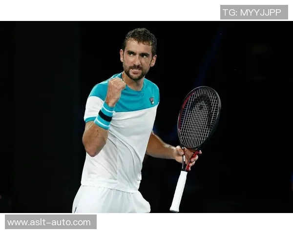 成都网球队心理素质排名第十揭示网球运动员心理素质的重要性与发展潜力